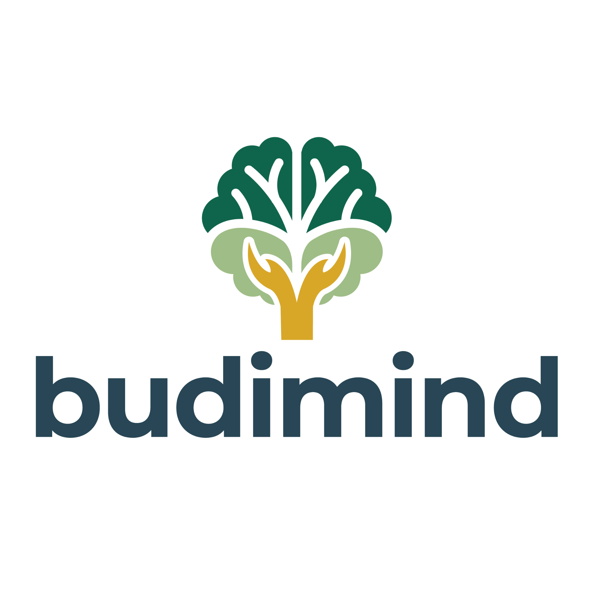 BudiMind